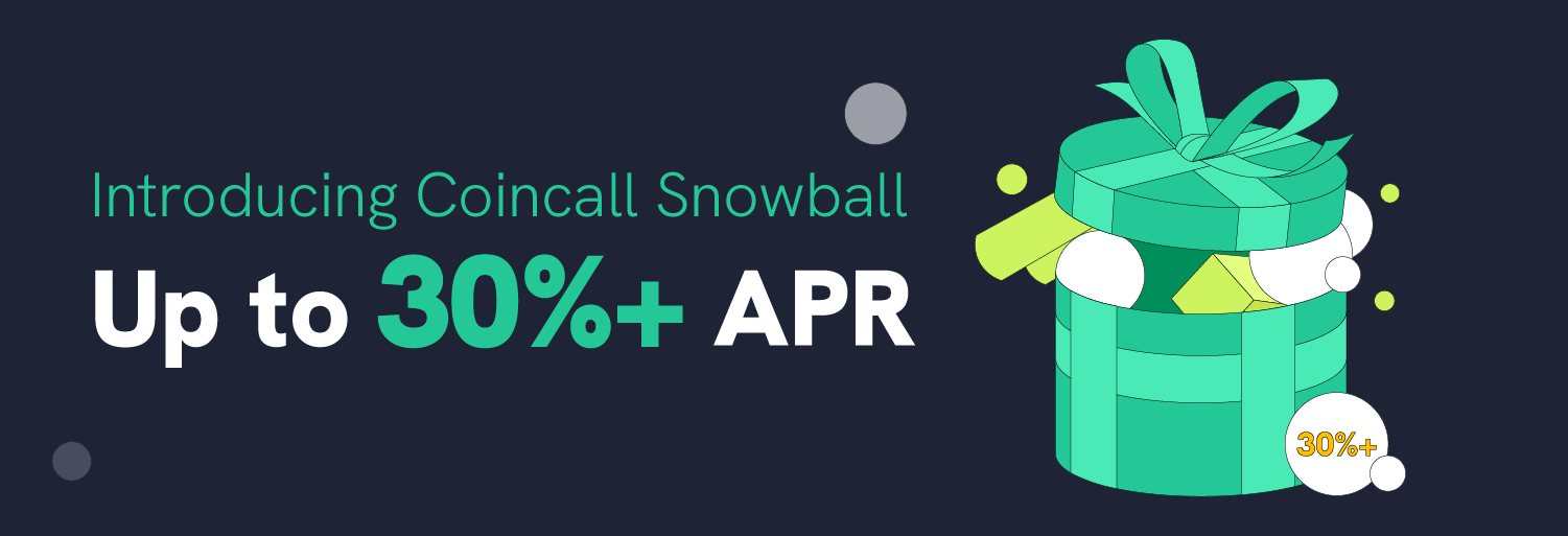snowball_app_en.png